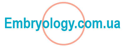 embryology.com.ua